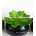 Eye-catching artificial succulent plants for ornament